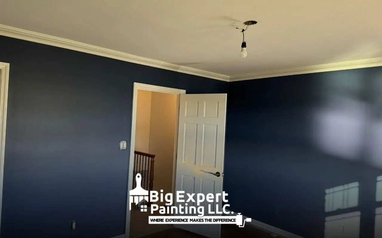 Best home interior paint schemes featuring neutral, bold, and two-tone color options.