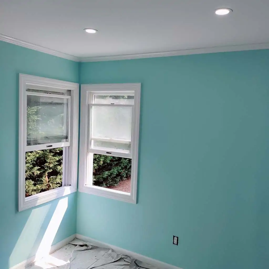 big-expert-painting-recent-project-22