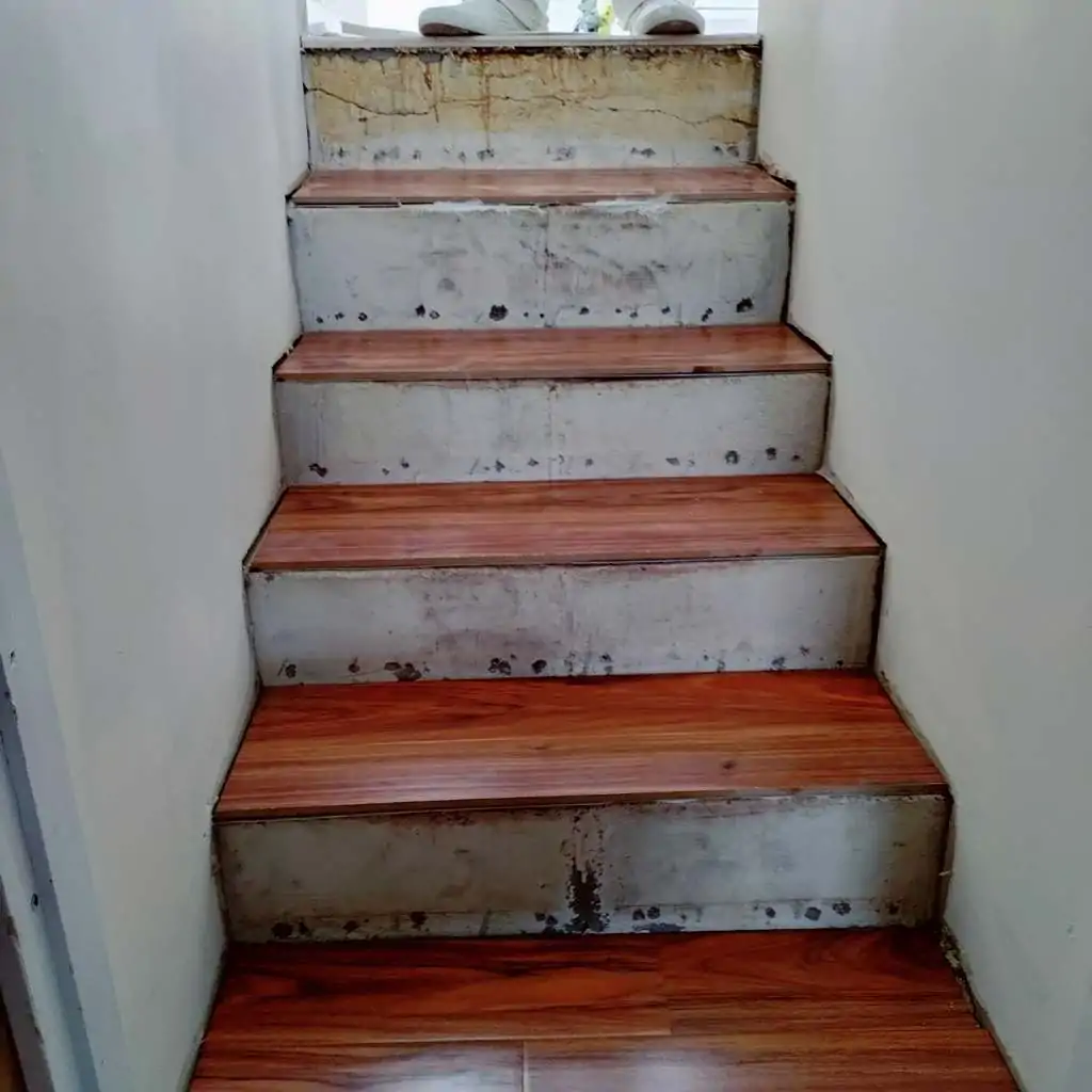 big-expert-painting-recent-project-23