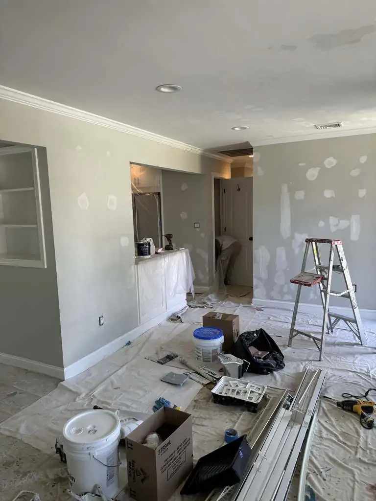 big-expert-painting-recent-project-9