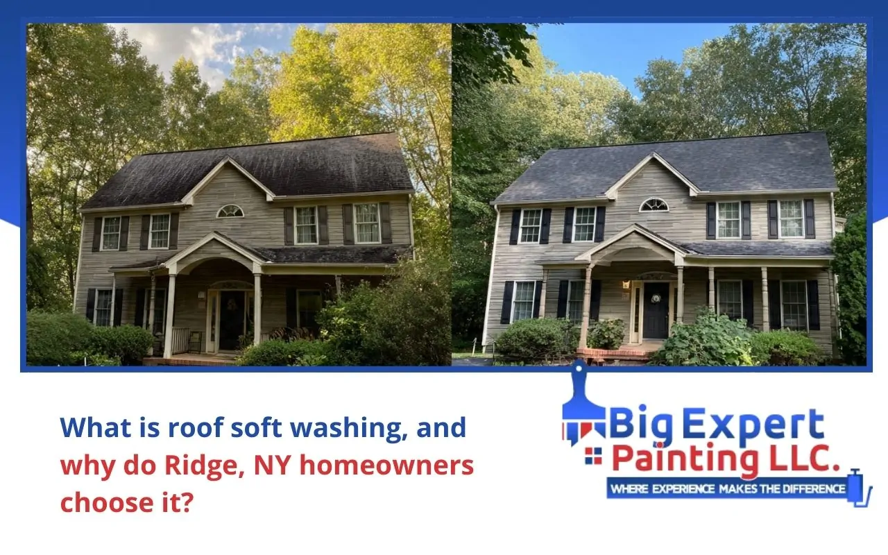 Roof soft washing in Ridge, NY before and after results